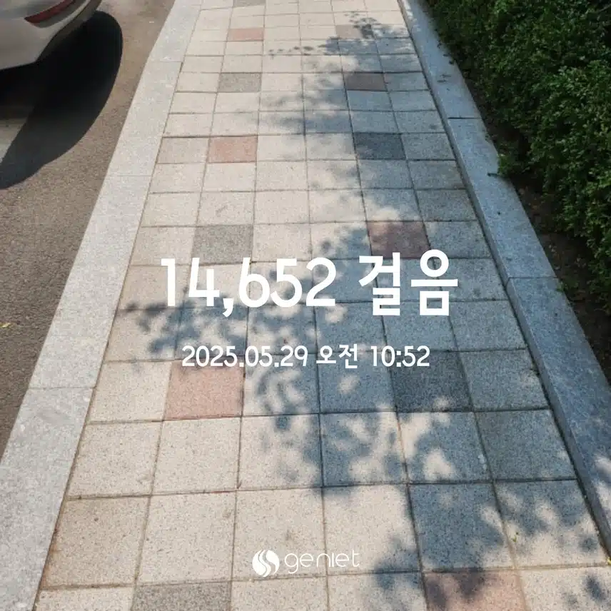 💪5.29 만보걷기 💕