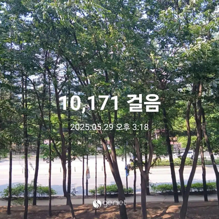 목요일 걷기운동^^