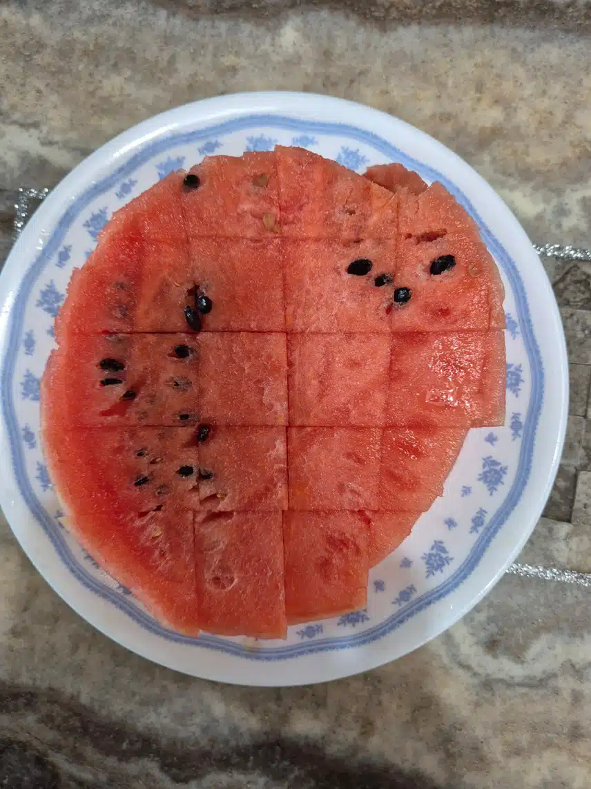 수박