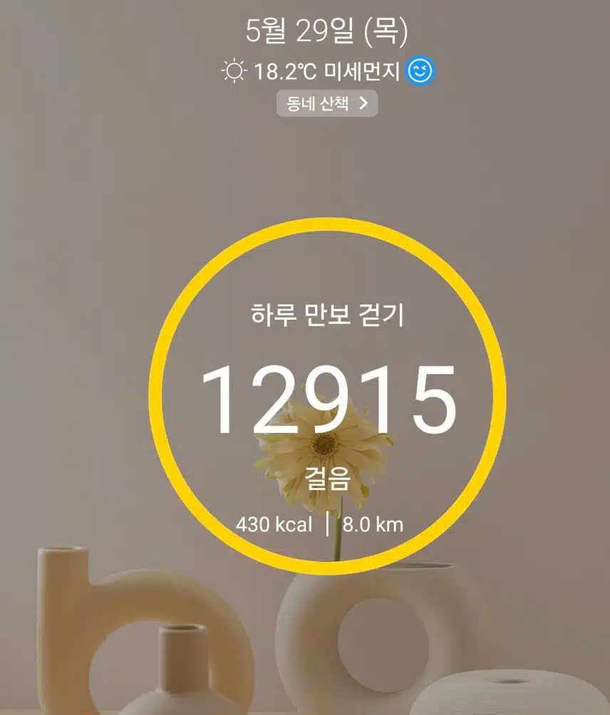 1만보 걷기 운동 마침