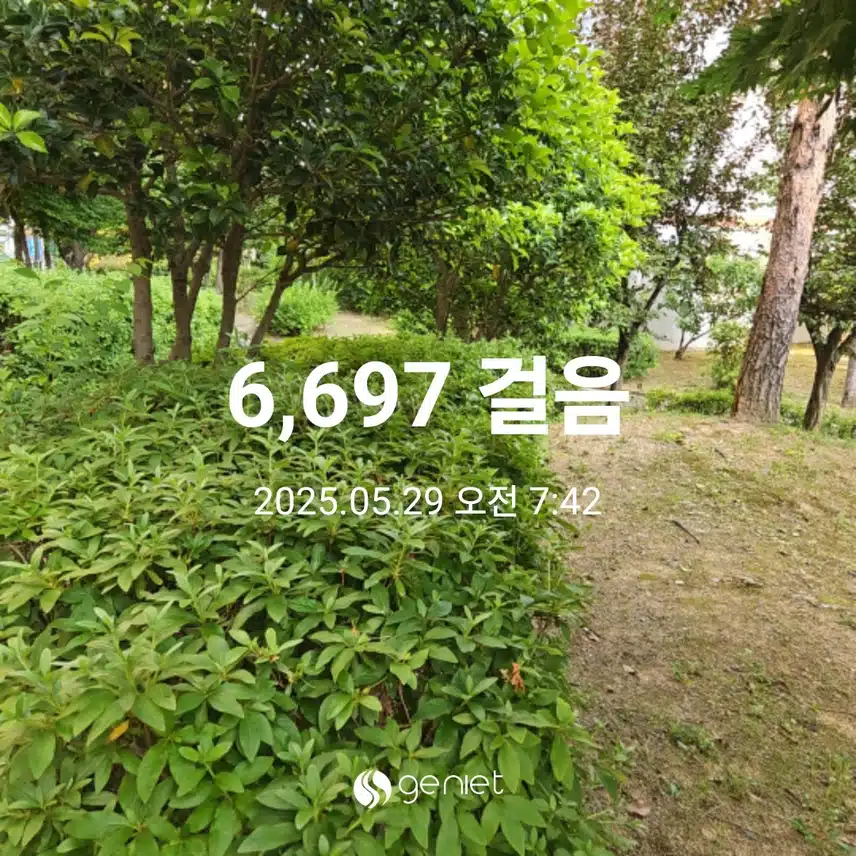 상쾌한 숲길을 걸어요.