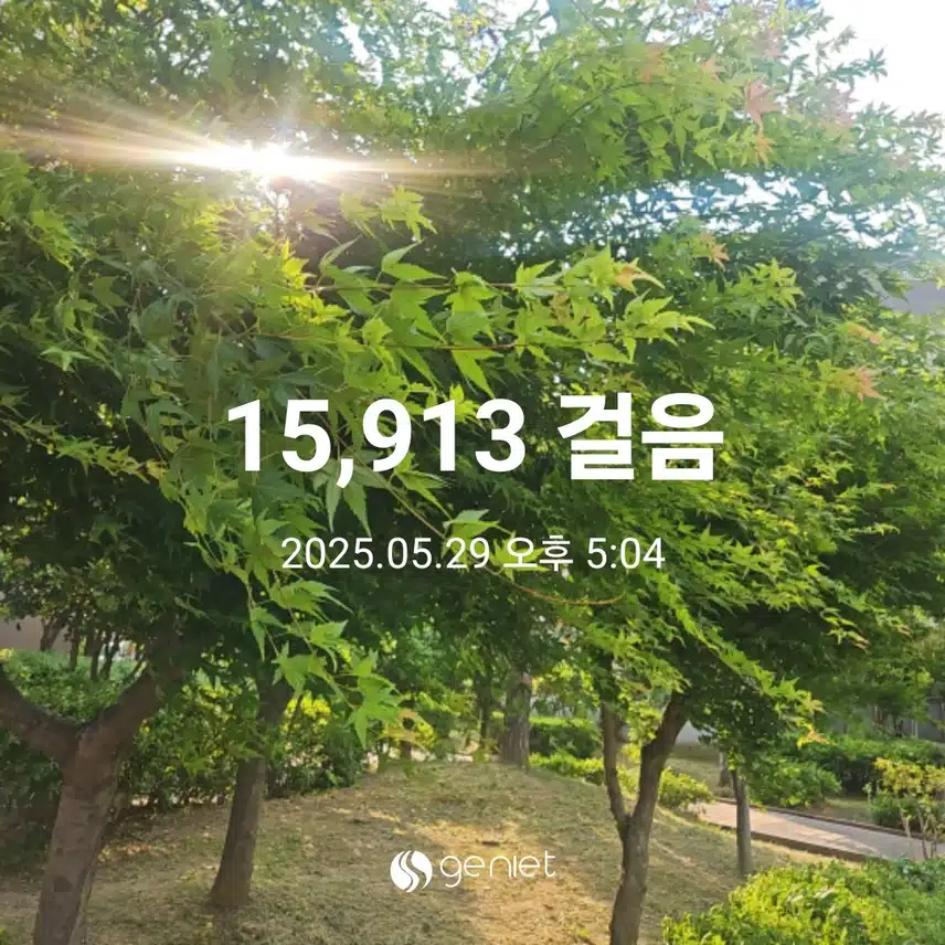 저녁 식전ㆍ식후에 걸었네요.🏃🏃‍♀️🏃‍♂️
