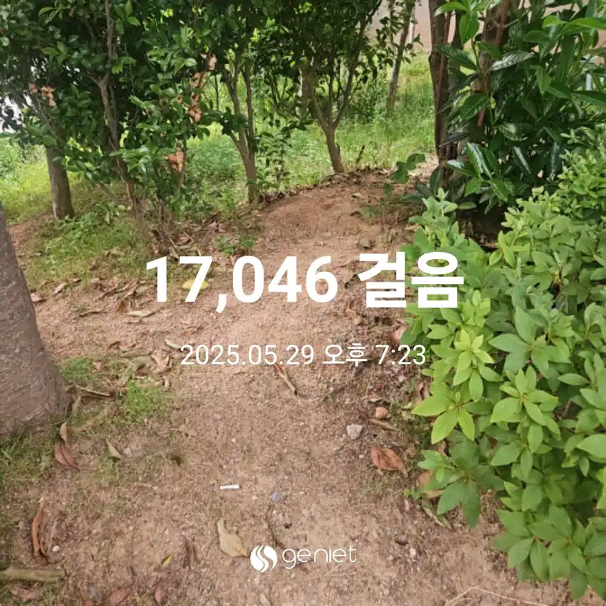 저녁 식전ㆍ식후에 걸었네요.🏃🏃‍♀️🏃‍♂️