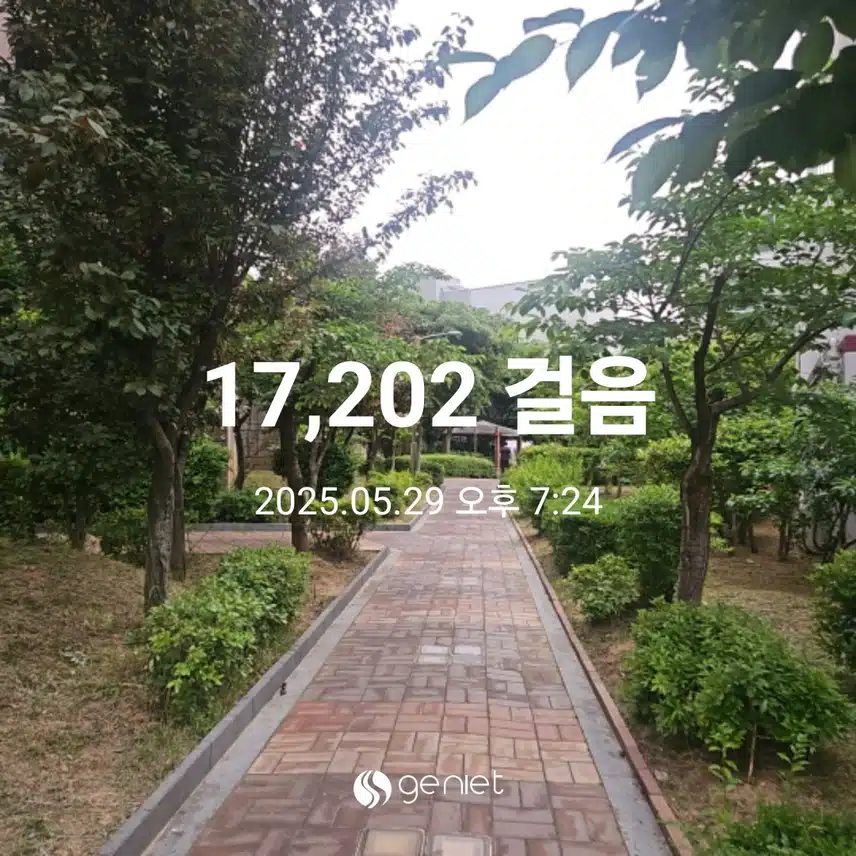 저녁 식전ㆍ식후에 걸었네요.🏃🏃‍♀️🏃‍♂️