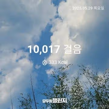 5월 29일 만보 완주 
