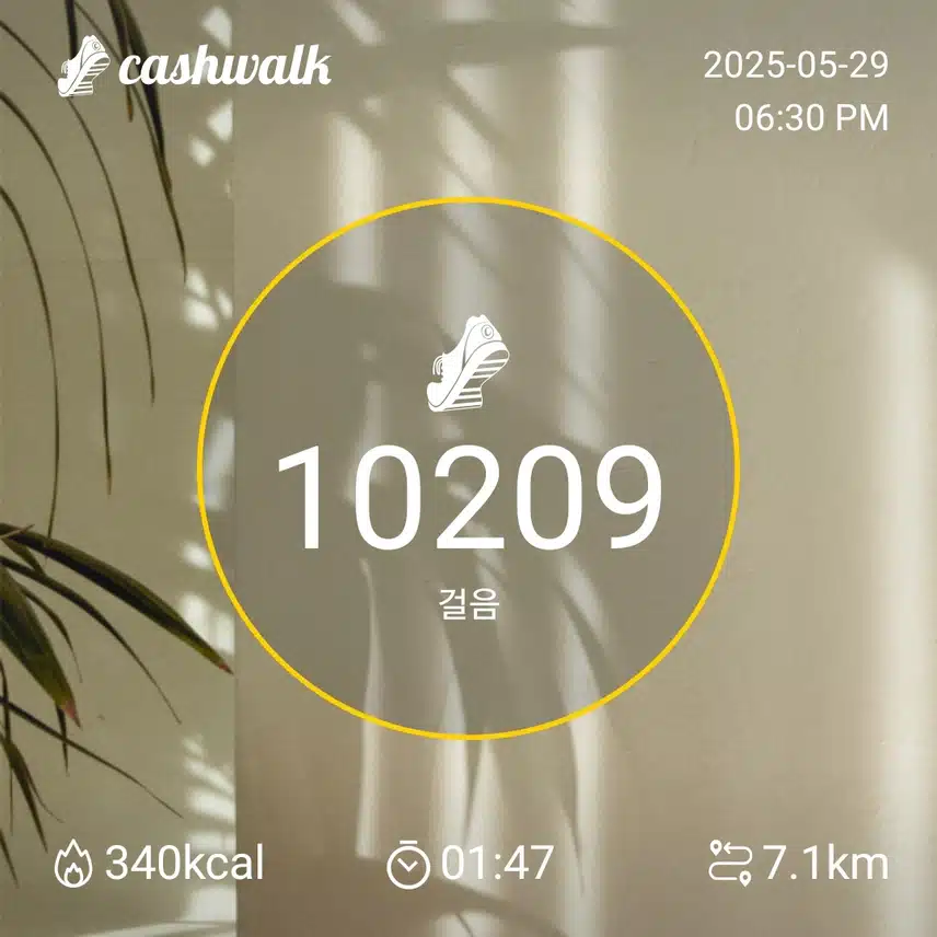 목요일 걷기