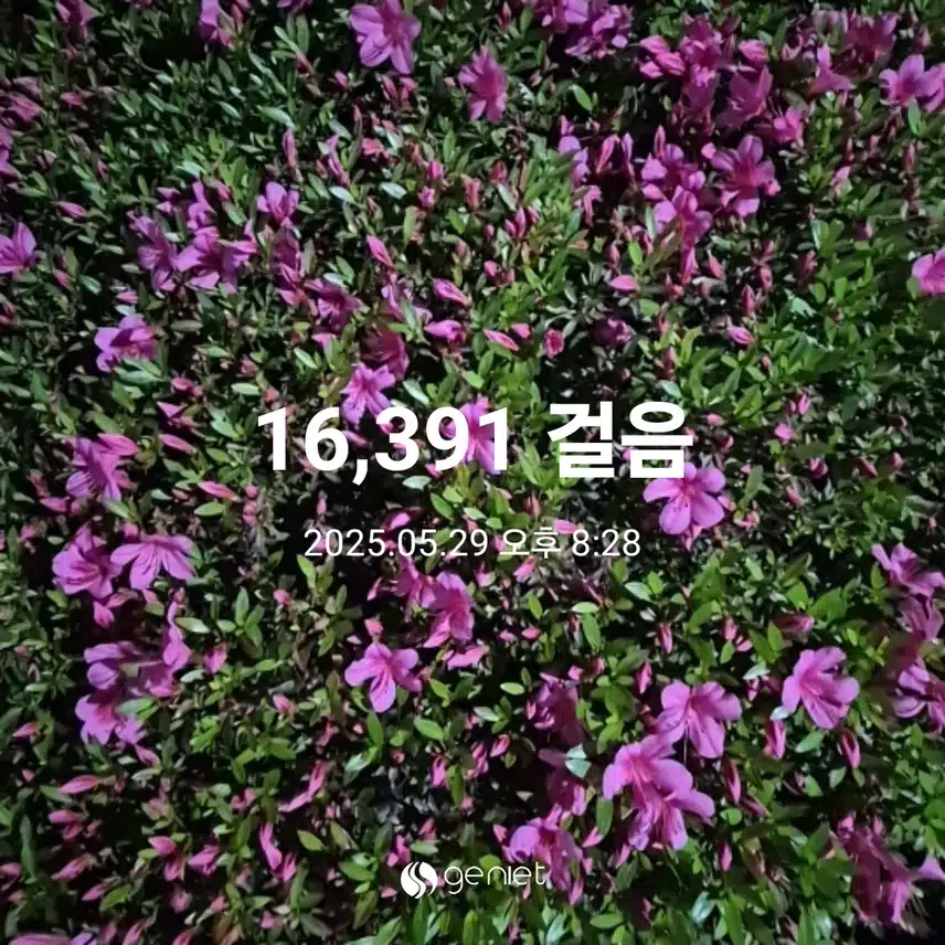 목요일 만보 걷기