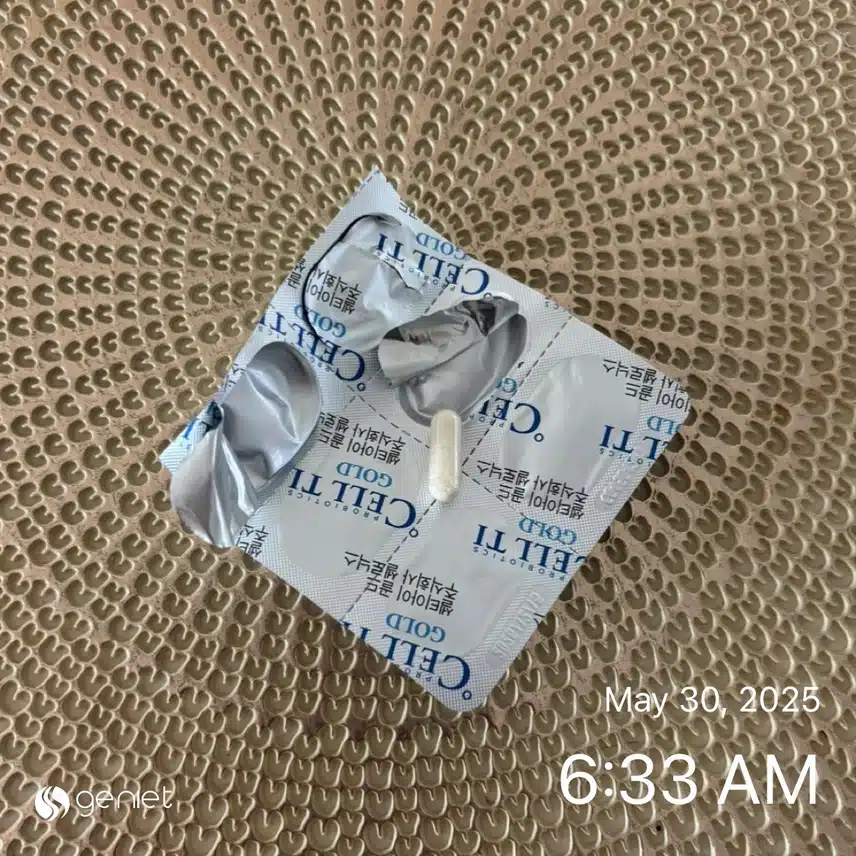 유산균💊
