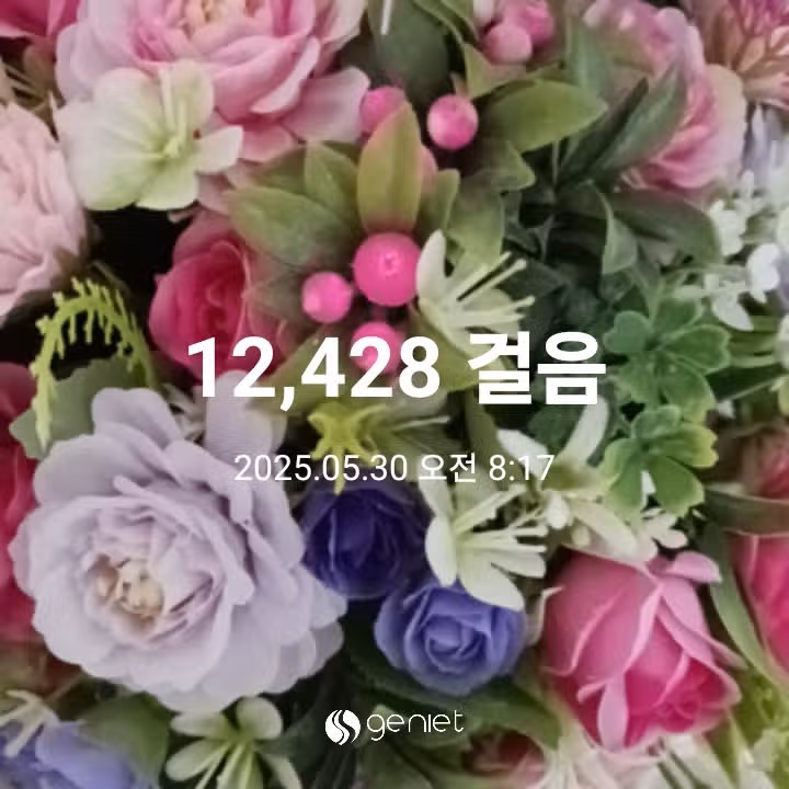 오전 운동 