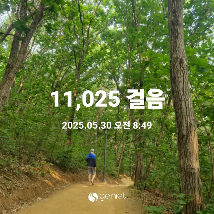 치유의 숲