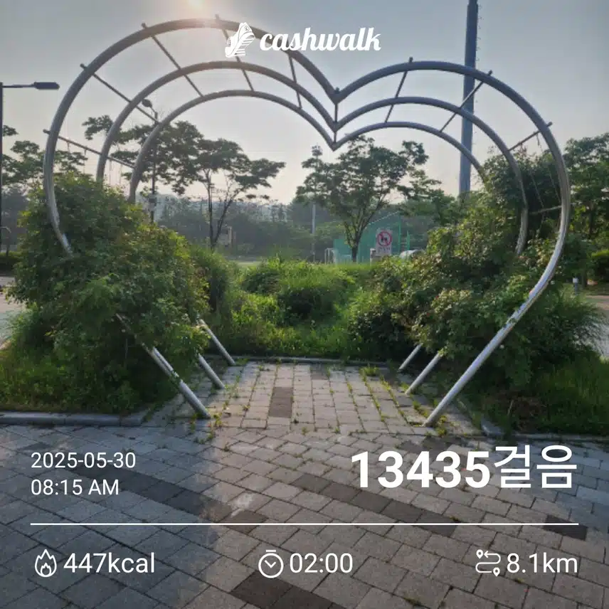 새벽운동 성공 ~✌️