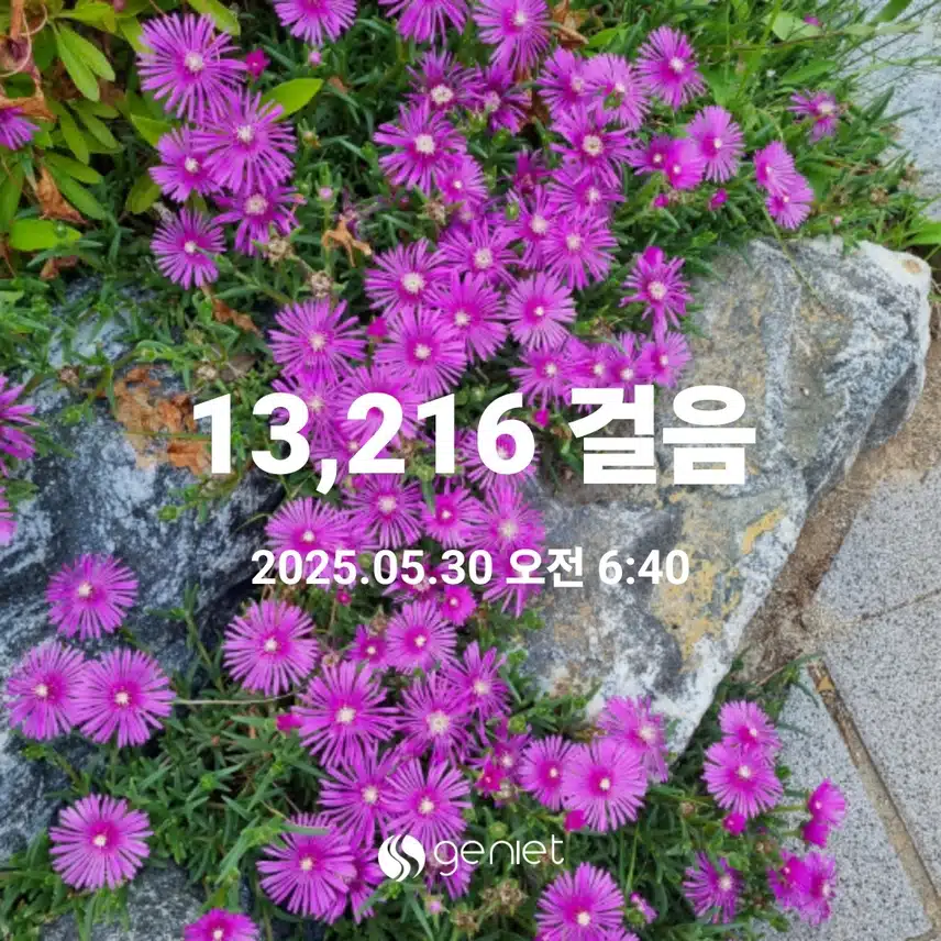 오늘도 새벽운동 만보걷기 