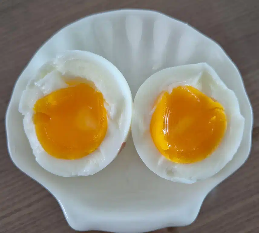 금요 아침도 가볍게~