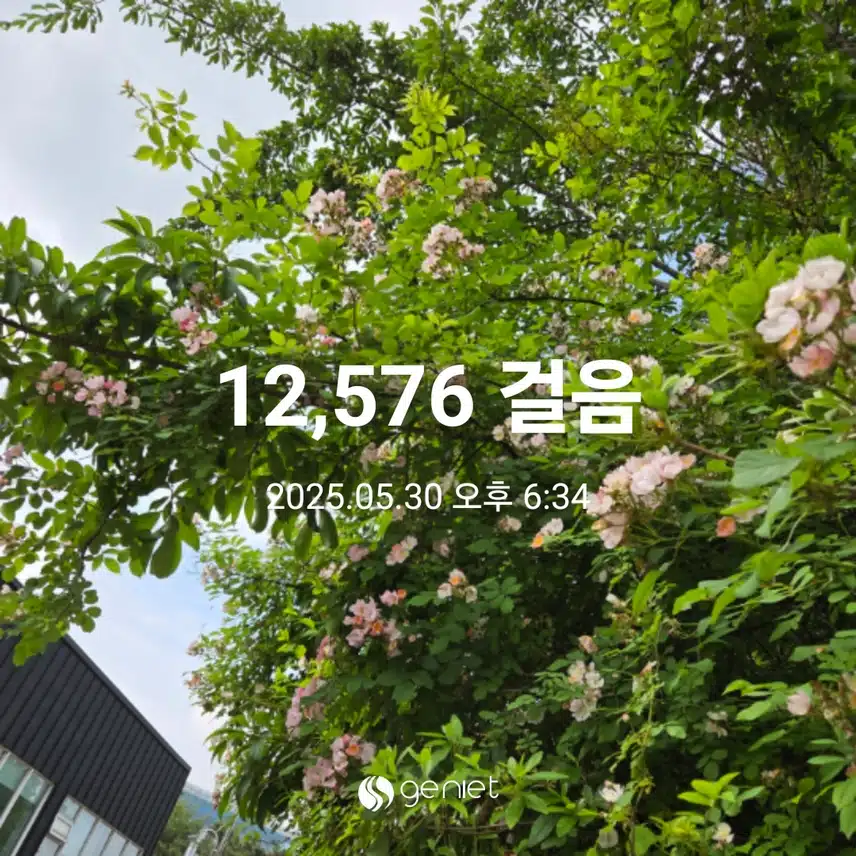 만이천보 걸었어요 