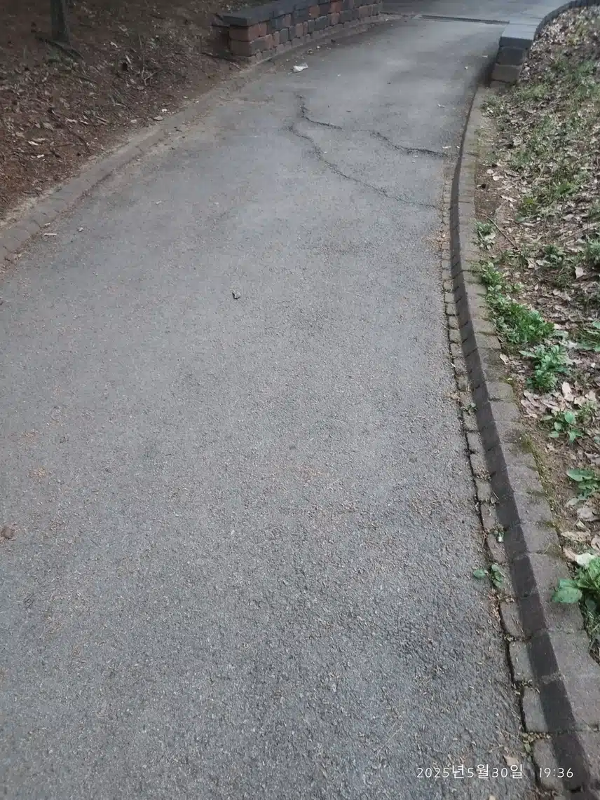 5.30 저녁산책