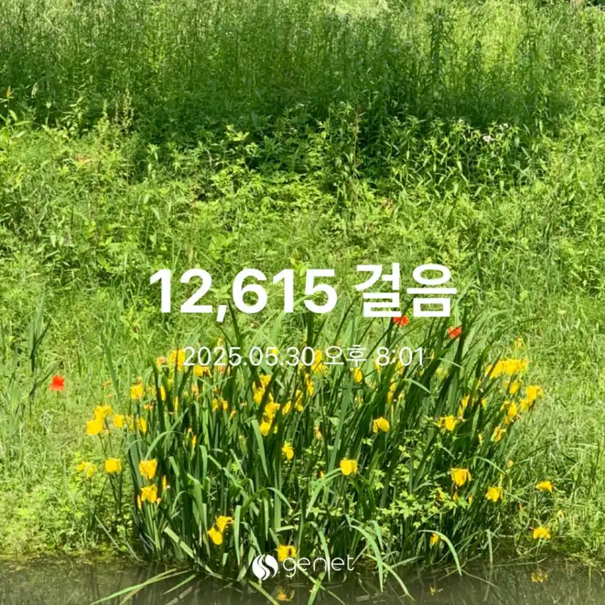 만보 걷기