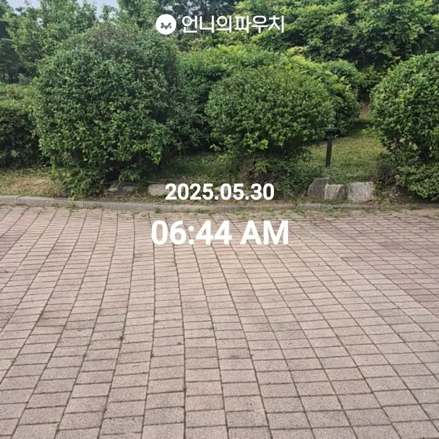 5월 30일 걷기 