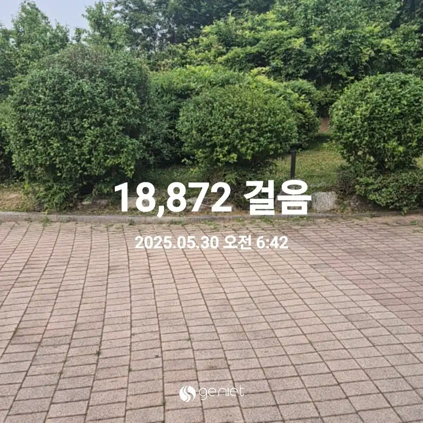 5월 30일 걷기 