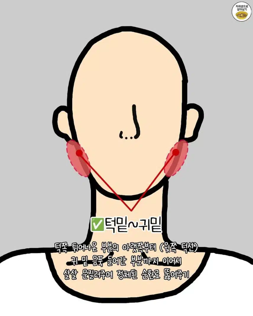 잘 풀어주면 진짜 얼굴 작아진다는 부위들