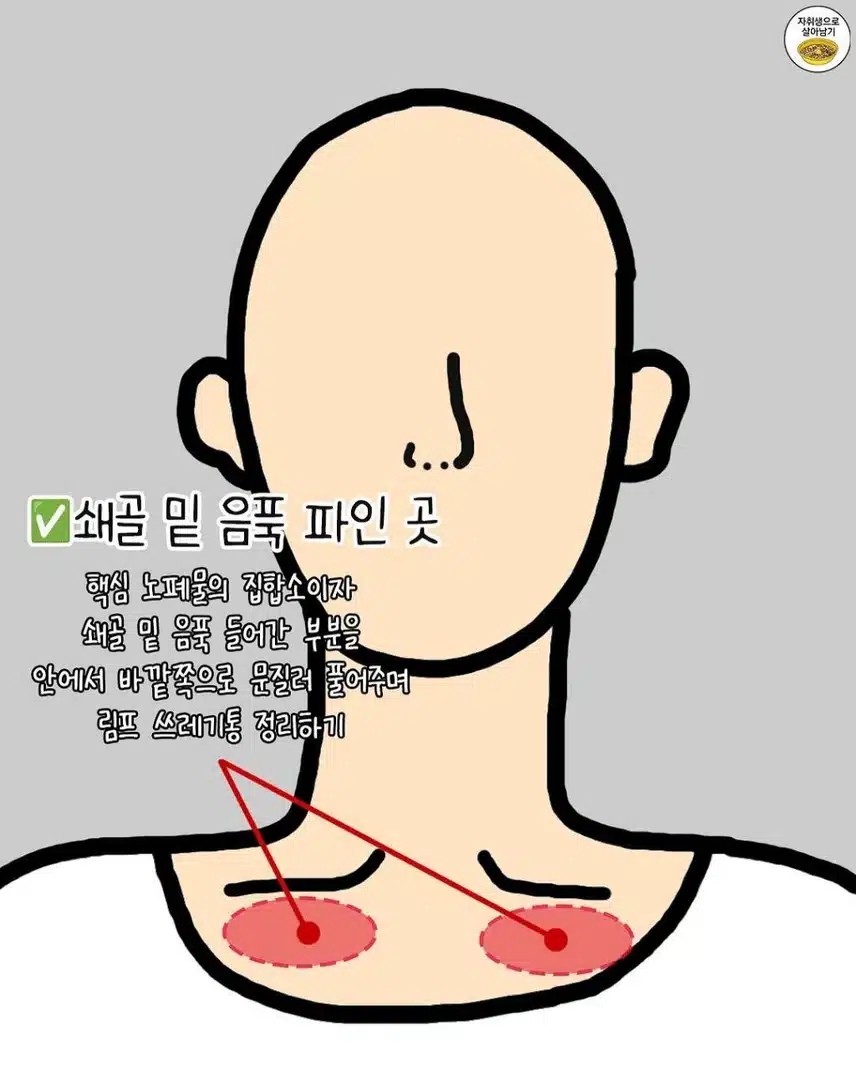 잘 풀어주면 진짜 얼굴 작아진다는 부위들