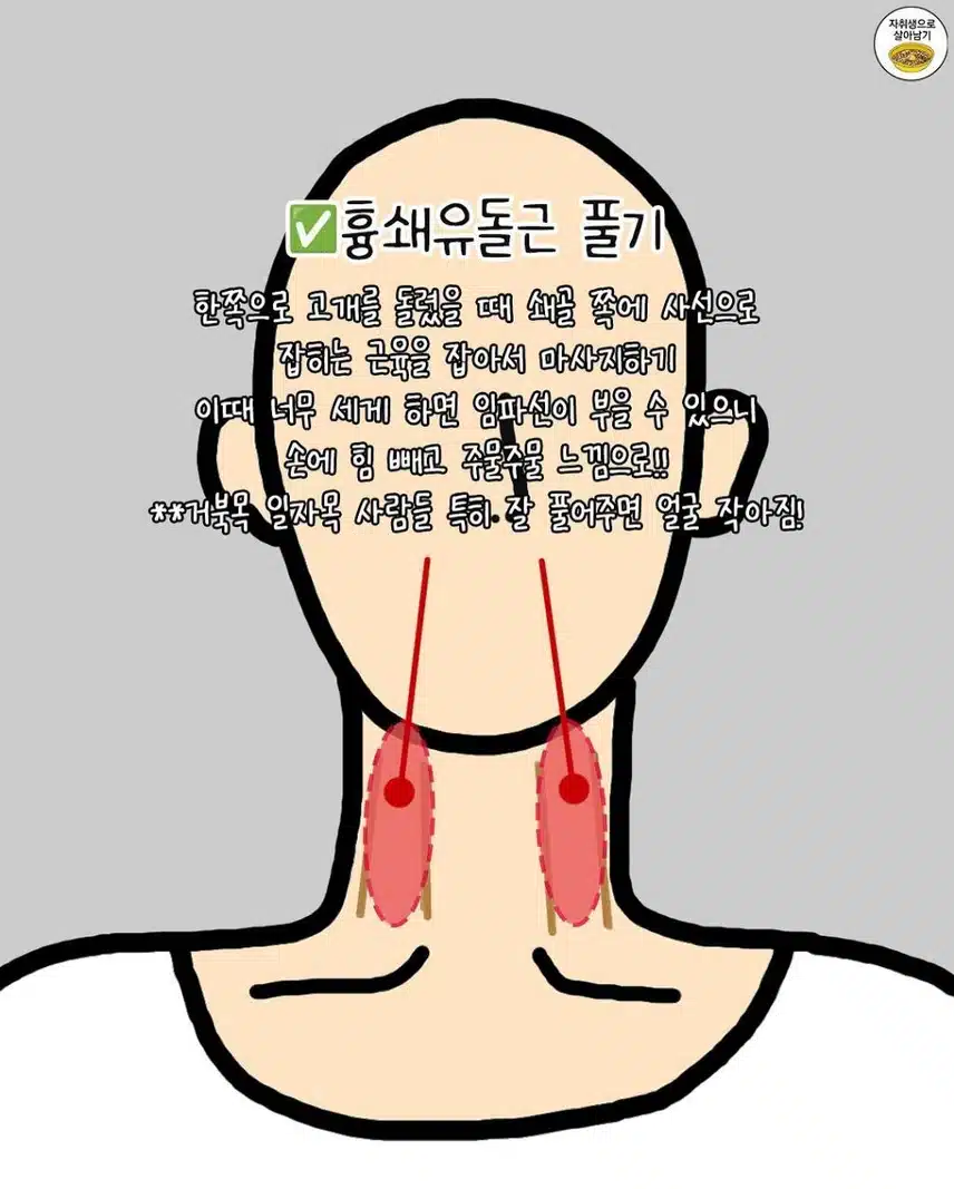 잘 풀어주면 진짜 얼굴 작아진다는 부위들