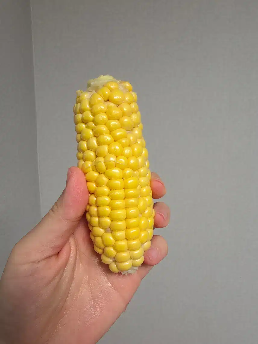 초당🌽 짱맛이요~~~