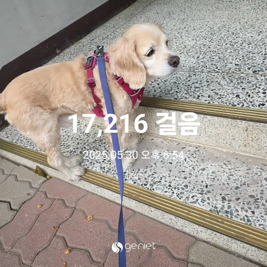 금요일 마무리 
