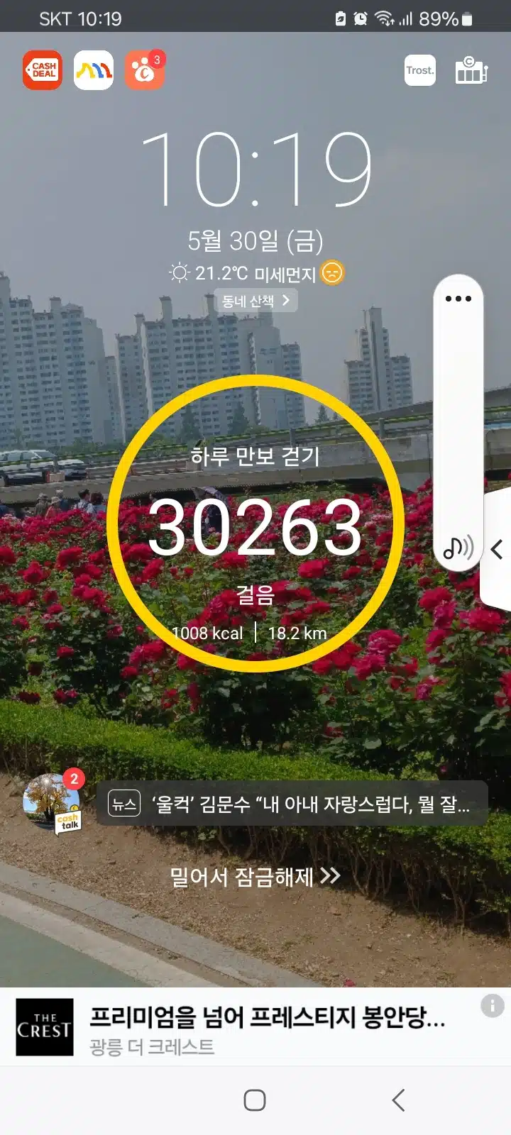 삼만보 걷기 