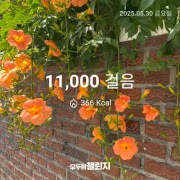 5월 30일 만천보 완주 