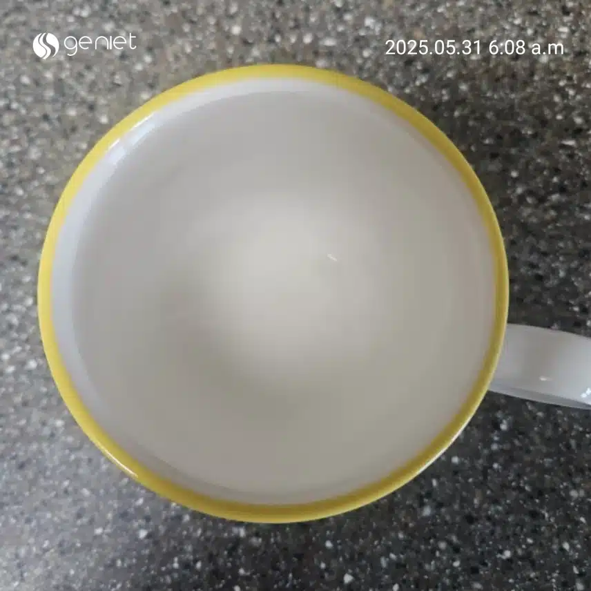 공복물 