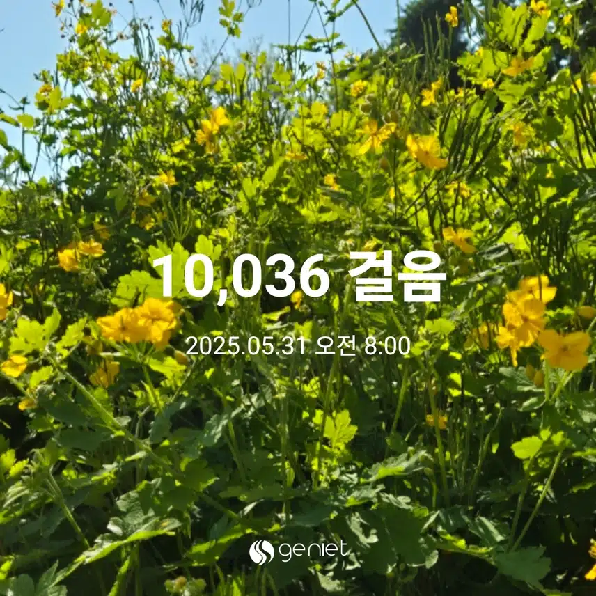 만보완주했어요