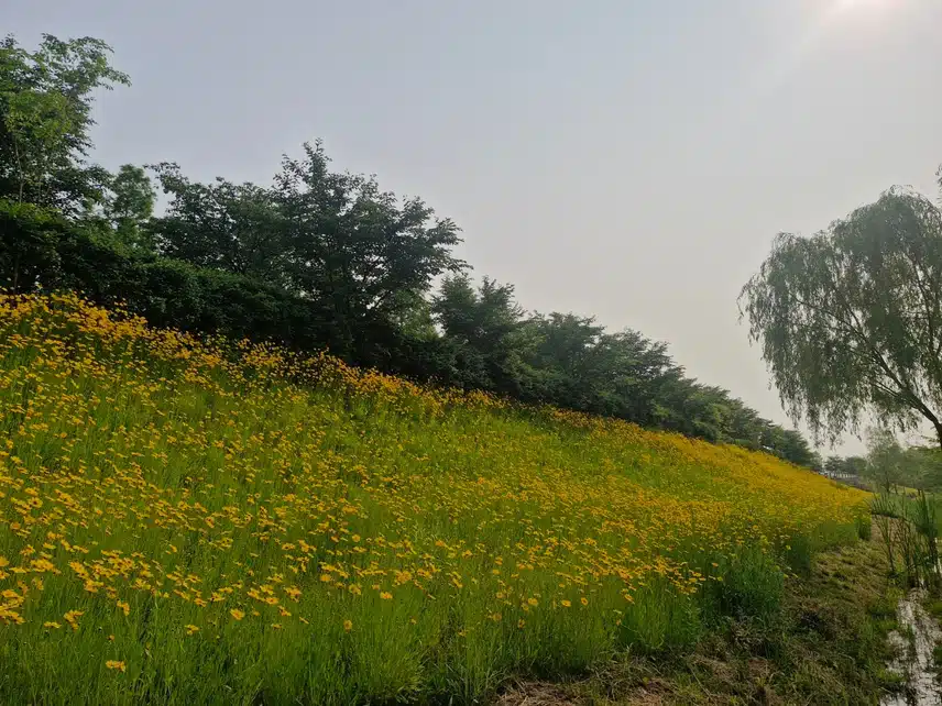 오전 운동 마무리