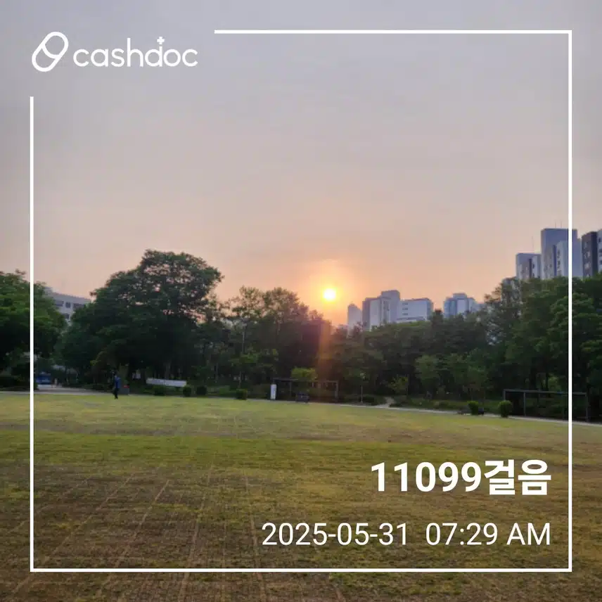 주말 아침 만보걷기 