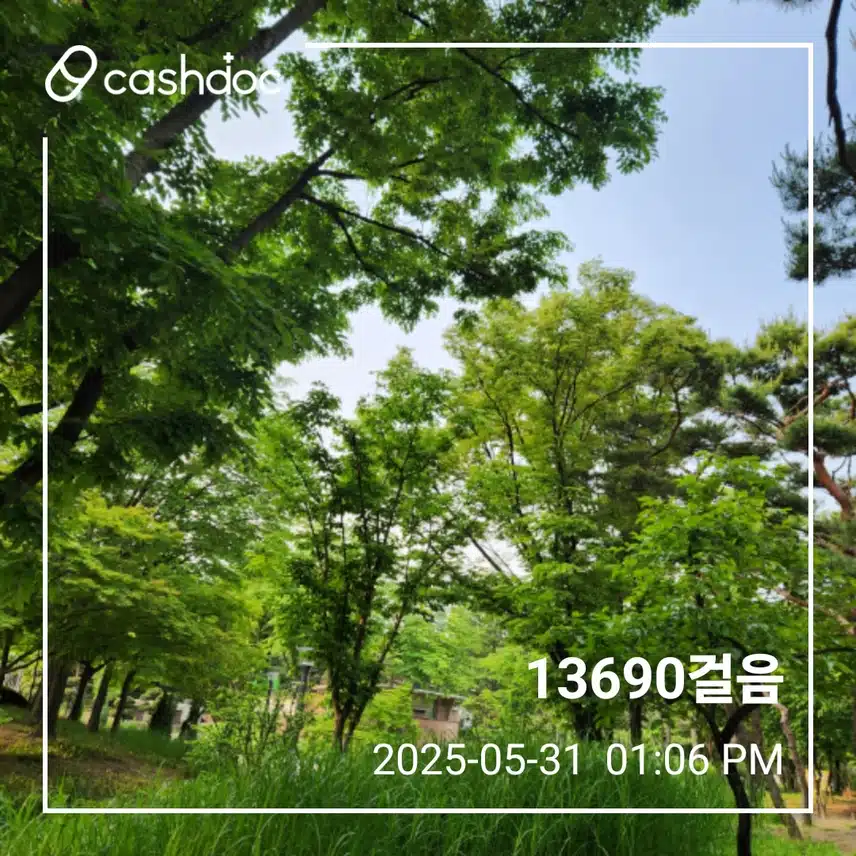 주말 아침 만보걷기 