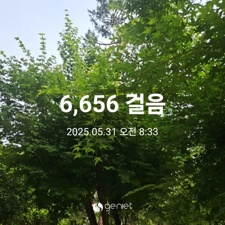🌳 상쾌한 아침을 걸었네요.🌳 