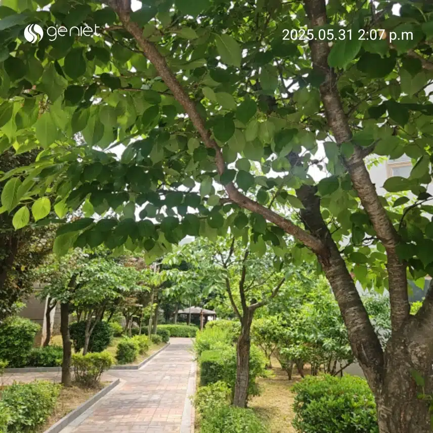 🌳숲길을 걷기와 계단오르기로 🏃 