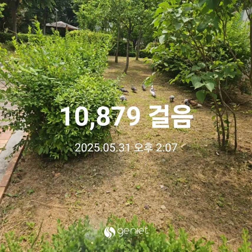 🌳숲길을 걷기와 계단오르기로 🏃 