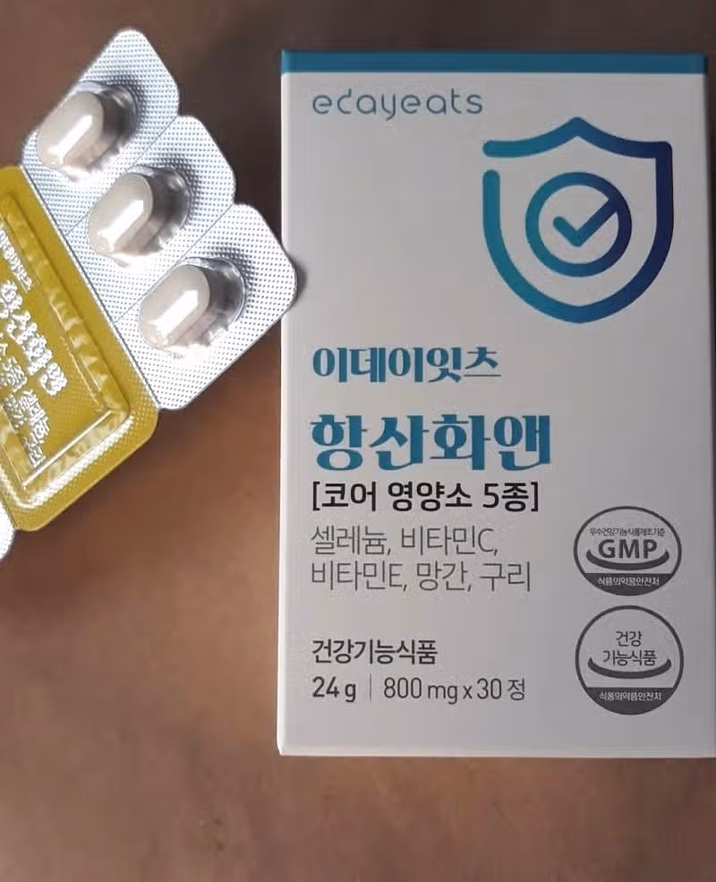 항산화앤