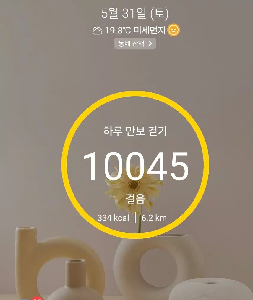 1만보 걷기 운동 