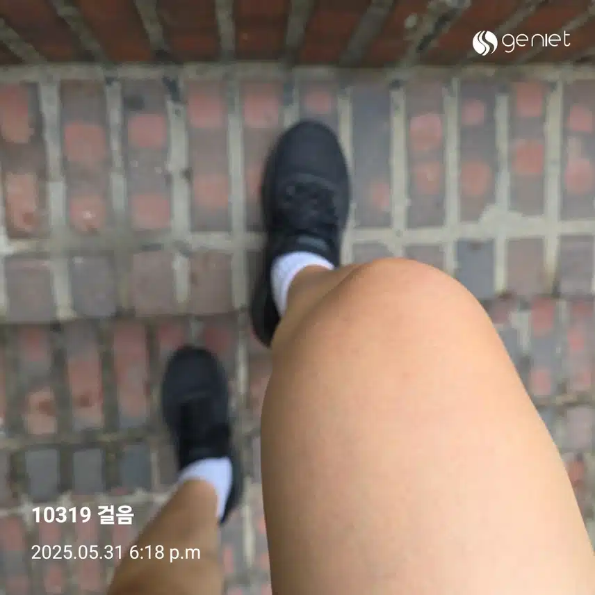 토요일 마무리 