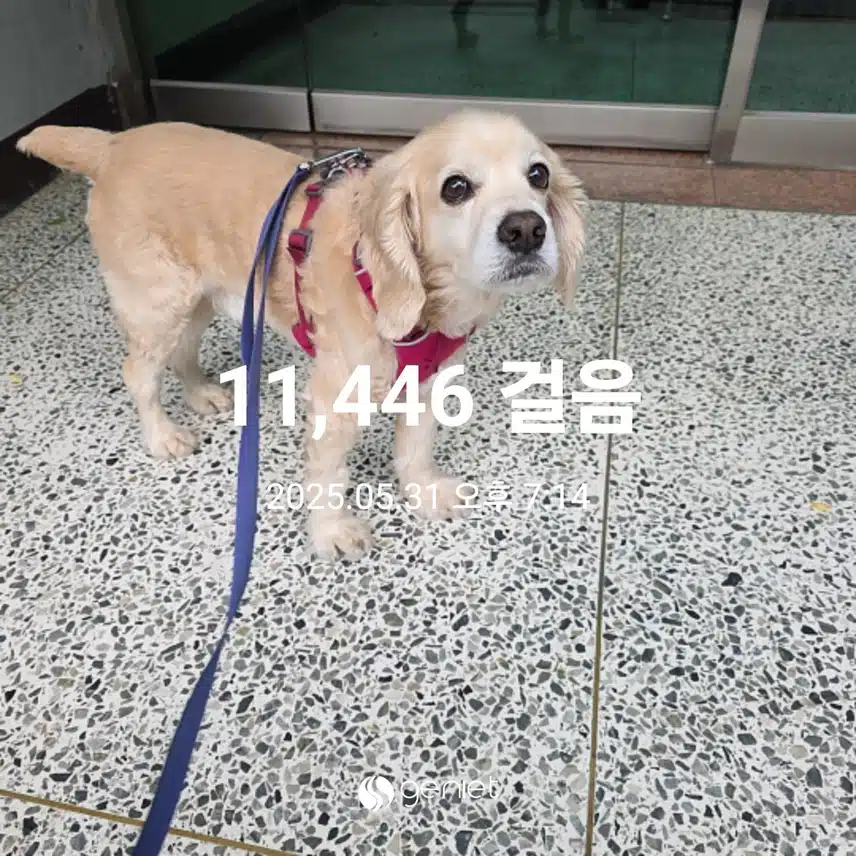 토요일 마무리 