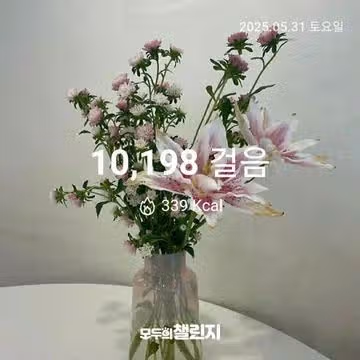 5월 31일 만보 완주 