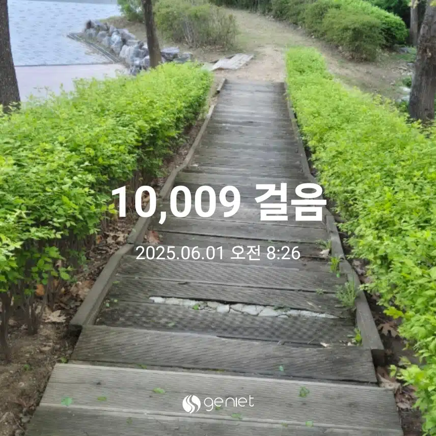 아침 만보 오늘도 완주해요