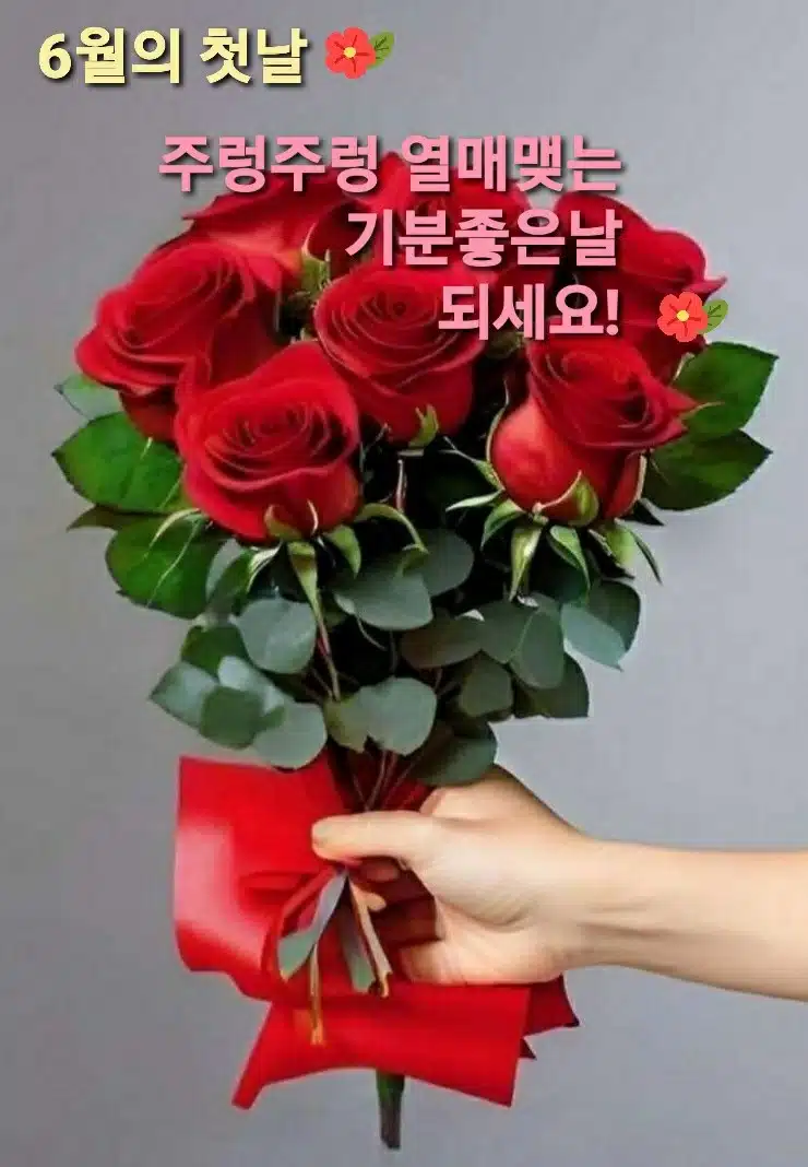 6월첫날도 만보걷기 새벽운동 
