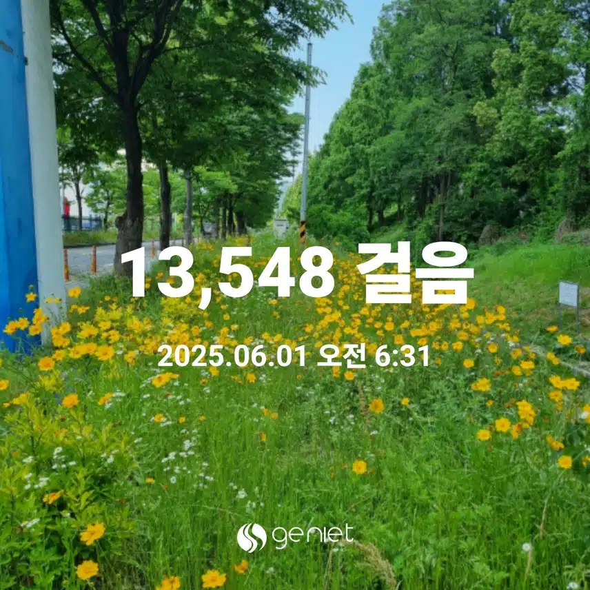 6월첫날도 만보걷기 새벽운동 