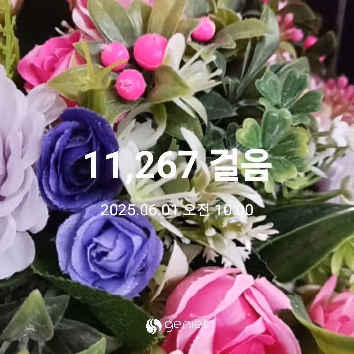 오전 운동 