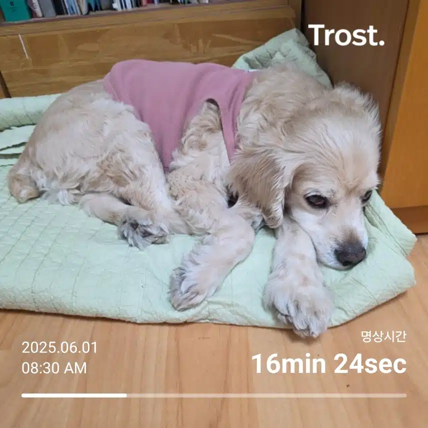 일요일 아침 