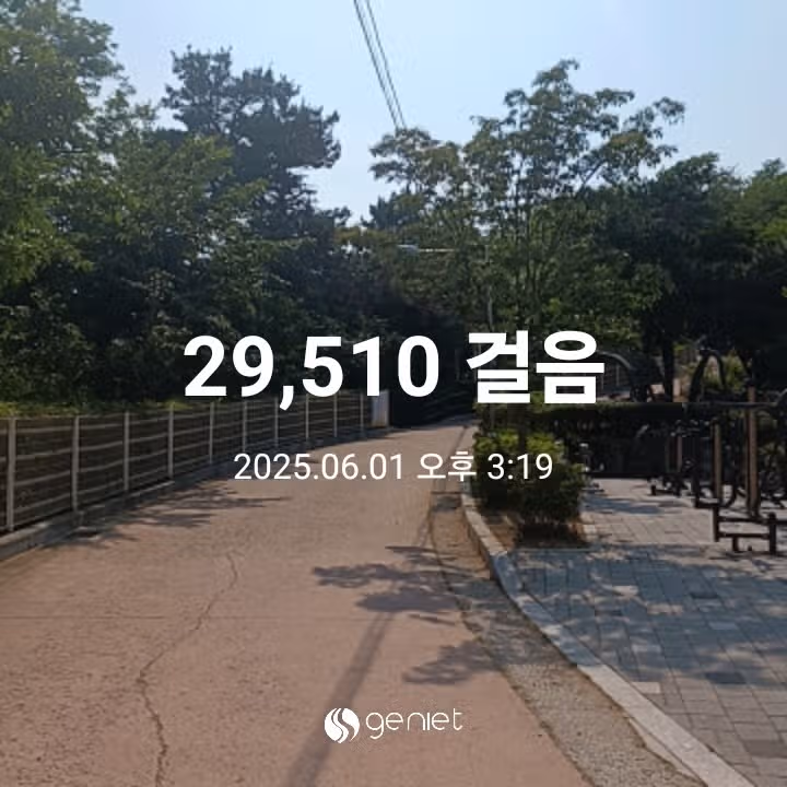 오후 운동 