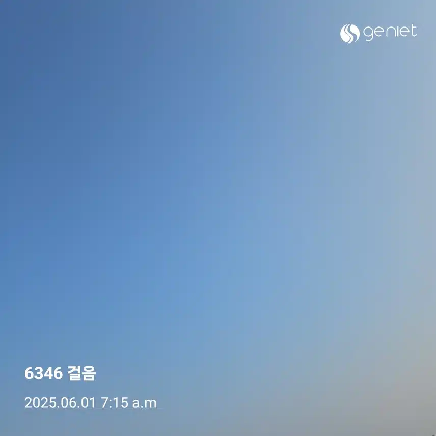 6월의 싱그러운 숲길을 걸었네요.