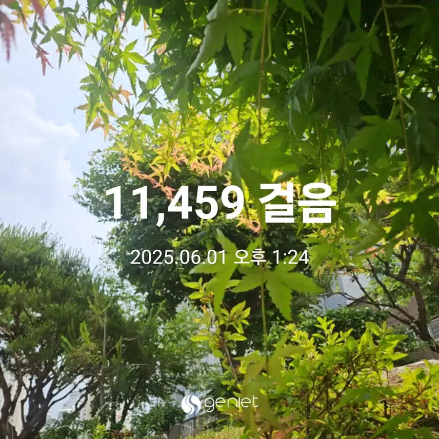 점심후 산책으로 걷기와 계단오르기 🏃